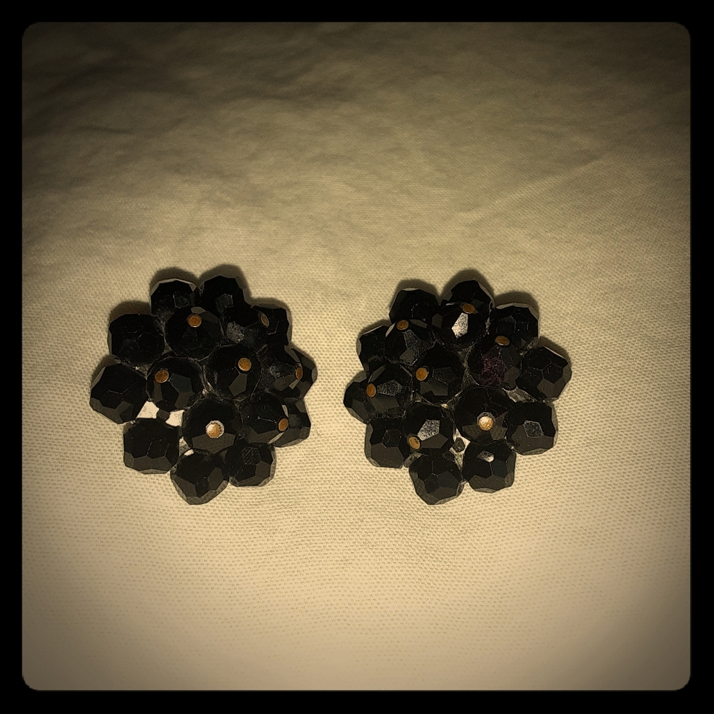 Vintage Signed Laguna Earrings